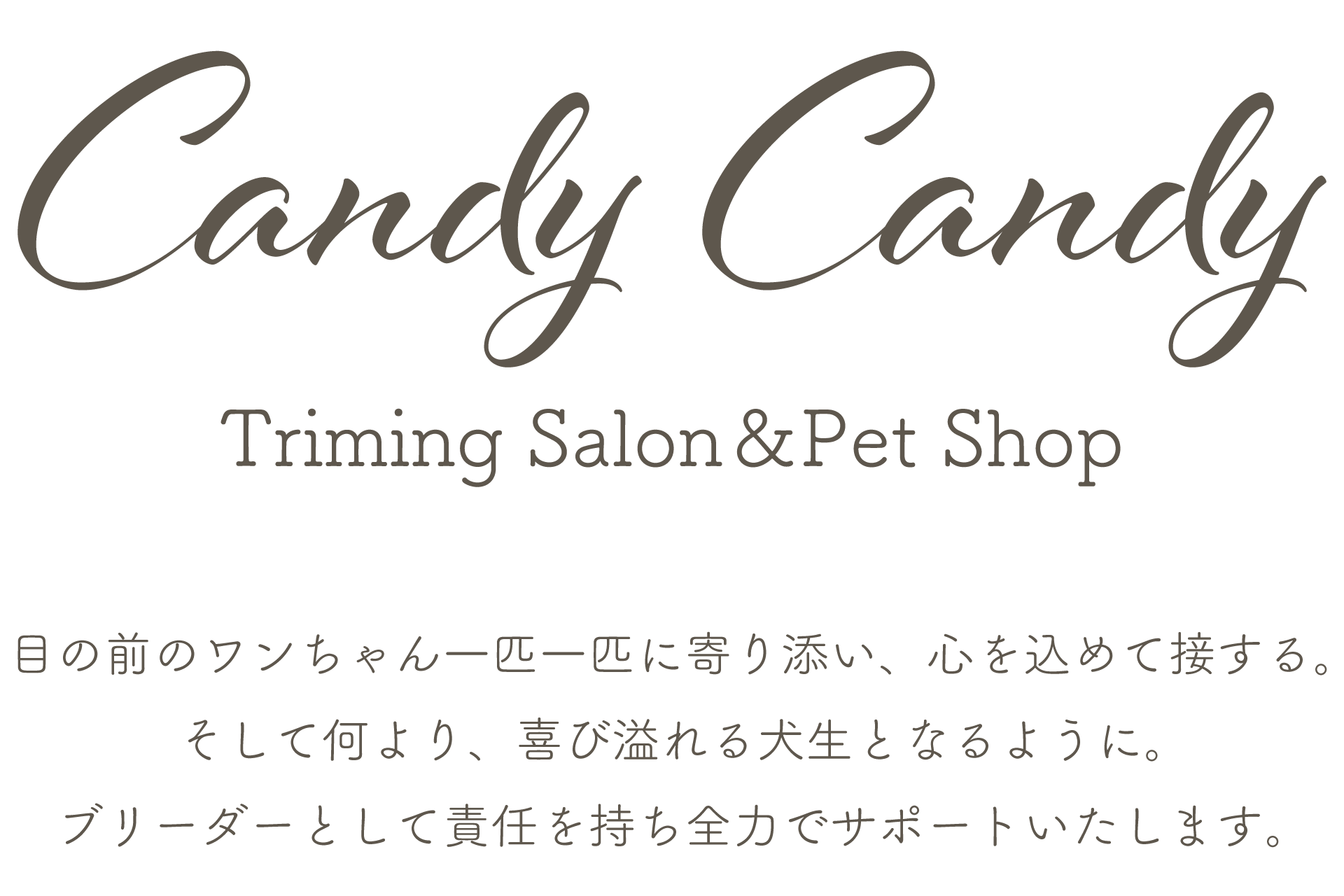 パリパリジューシーりんご飴＆焼きいも飴】CandyCandy 湘南さむかわ店のデリバリー ・持ち帰り| メニューを見る |横浜