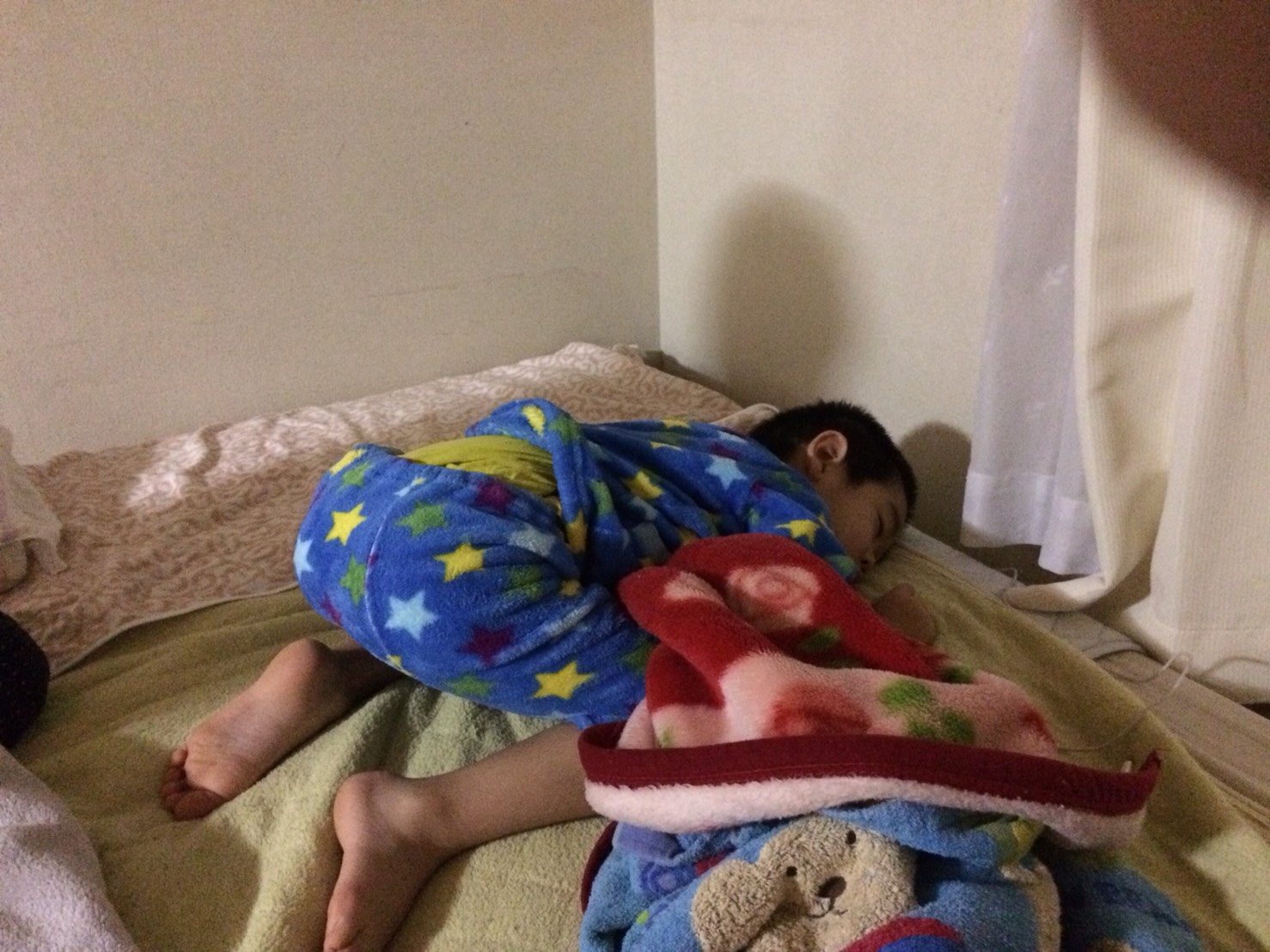 絶壁防止の魔法の枕を2ヶ月使った感想