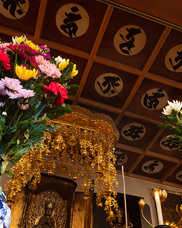 鶏足寺禅画御朱印 楽しく描いています。いろいろお話ししながら描きます。 また、定型のもののみ郵送もいたします。 サイズは普通サイズ御朱印 帳見開き、あるいは大型御朱印帳1ページ分です。 ①猫 1000円 ②観音様 1000円 ご希望の方はご希望の御朱印 猫か観音様か と