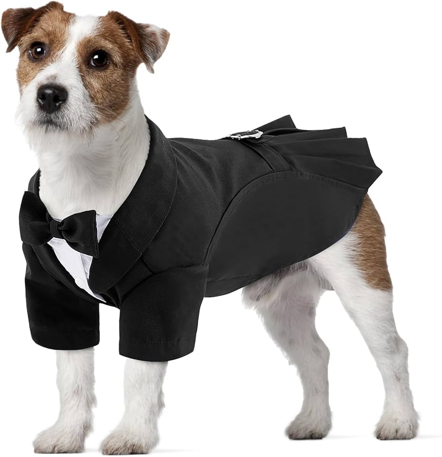 ペット 首輪 蝶ネクタイ 犬 猫 小型犬 中型犬 大型犬 結婚式 フォーマル アクセサリー コットン ポリエステル かわいい おしゃれカジュアル x200犬 蝶ネクタイのおすすめ人気商品一覧 通販 - Yahoo!ショッピング