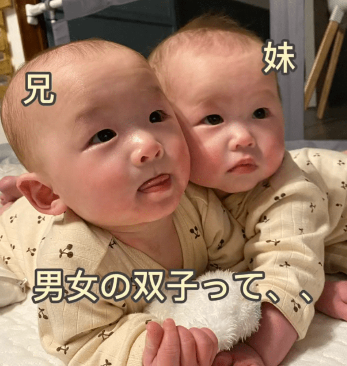 まるで相方？！男女仲良しの双子。→成長した姿に「美男美女」「可愛すぎる」 – ほ・とせなNEWS