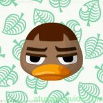 あつ森 大好きなアチョットの誕生日を祝う会開催！ ハピパラ