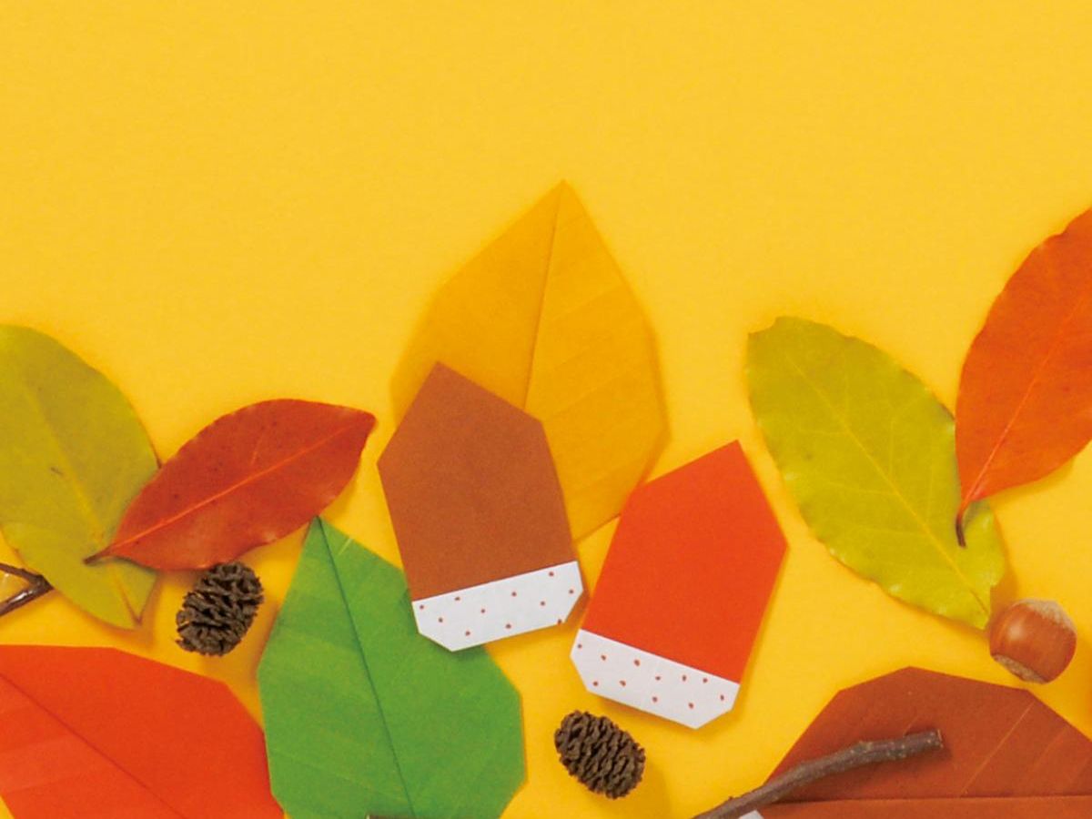 動画あり どんぐりのコマの作り方と遊び方ミックスじゅーちゅ 子どもの遊びポータルサイト