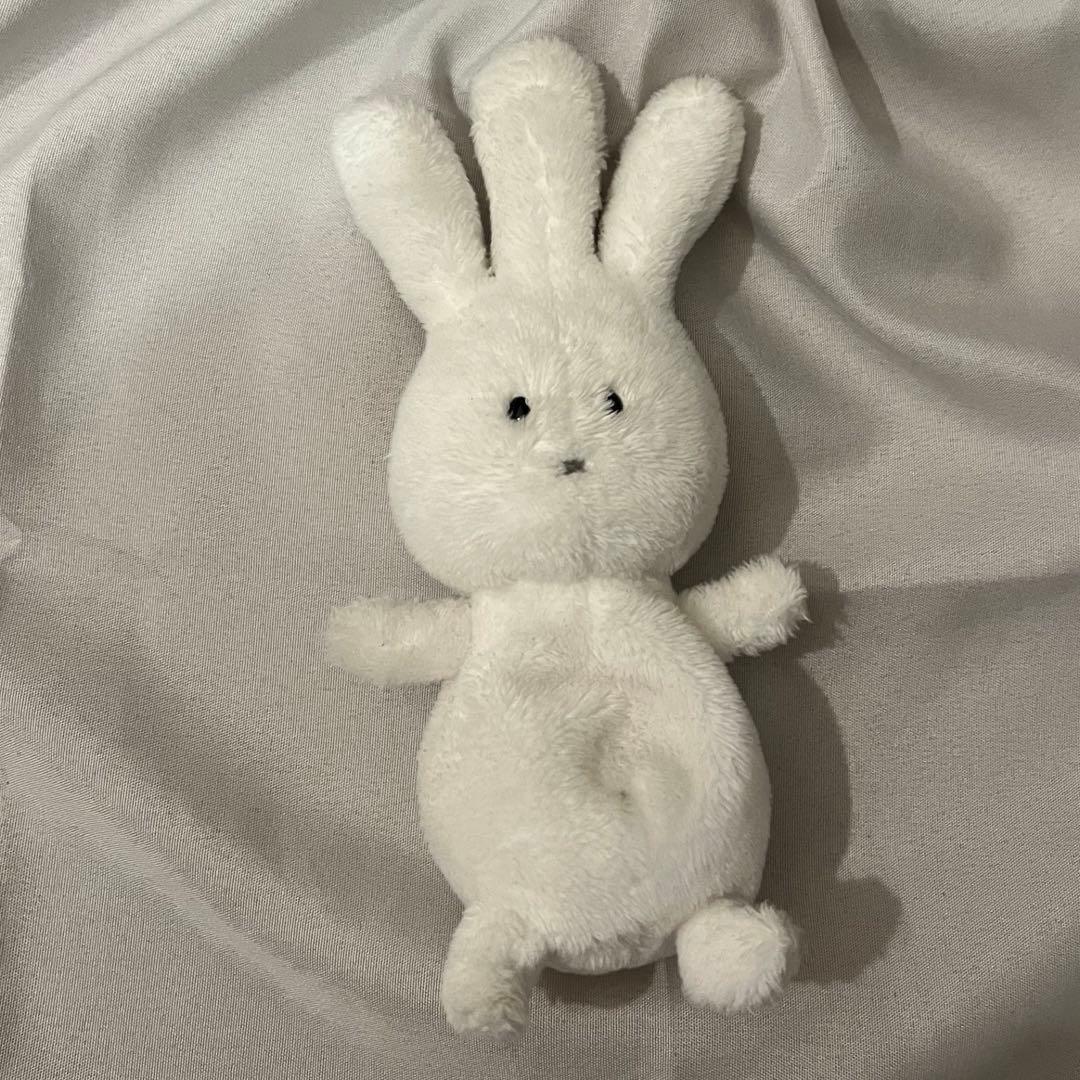 お客様からいただいた やめぴ、おじぎちゃん、いまちゃん 外で日光浴中しました〜🫧 ずっと大切に飾らせていただきます 🪿🌿 本日も12:00〜お待ちしておりますね 𓂃܀𓇬月と灯り古民家カフェ岡山カフェカフェ巡り古民家カフェ