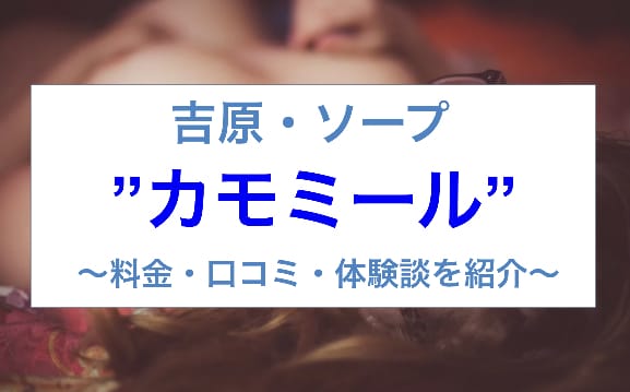 吉原 カモミール】「かなた」口コミ体験談 | ガールズシェア