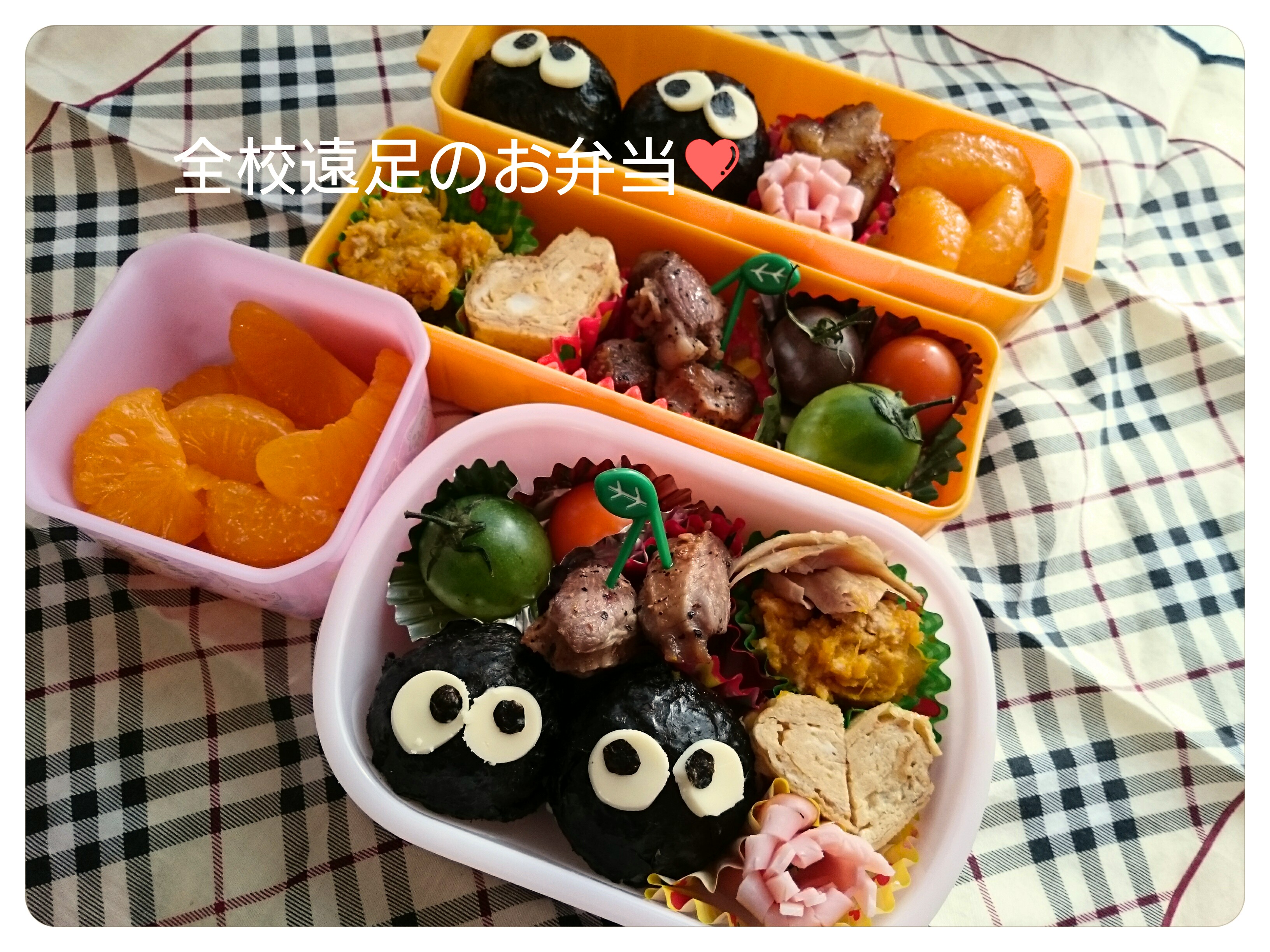遠足♪ゆかりおにぎりと焼き鶏のお弁当～小学生用のお弁当～の画像