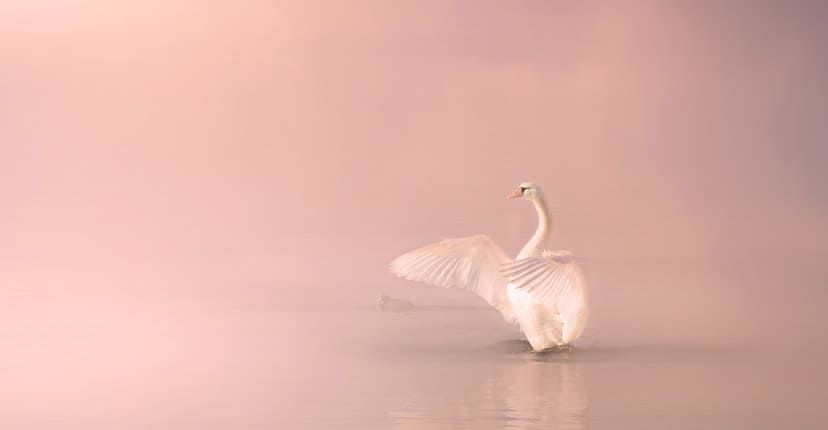 女の子向け ふわふわシフォンのお花のお名前キーホルダー♡の通販 by happylab_shopラクマ