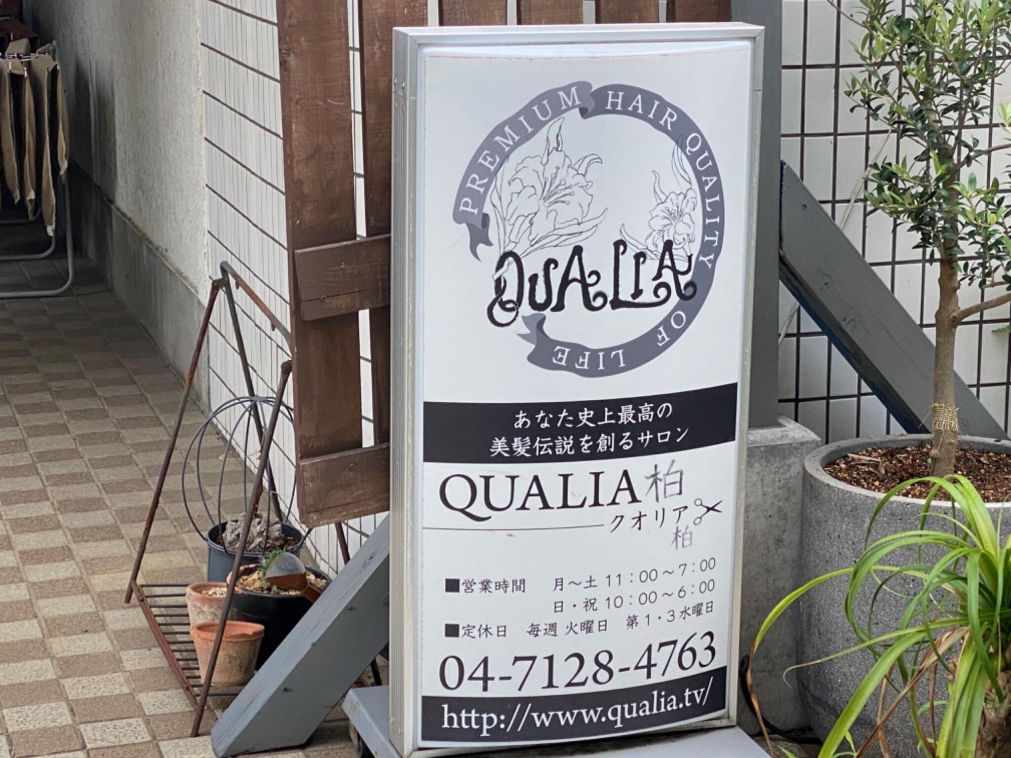 QUALIA(クオリア)は怪しい副業？詐欺の可能性・裁判の行方・勧誘の実態｜副業検証ネット