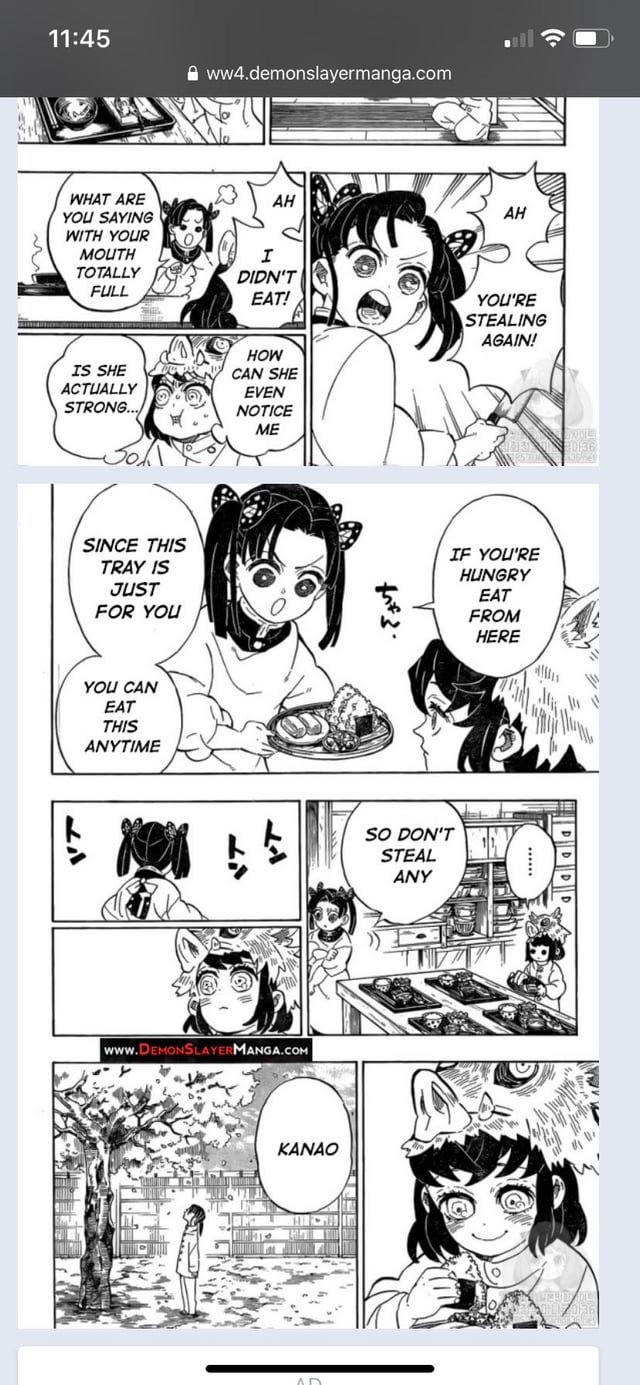 鬼滅の刃 嘴平伊之助はアオイと結婚する？その後はどうなった？子孫の名前は何？漫アニぶろぐ