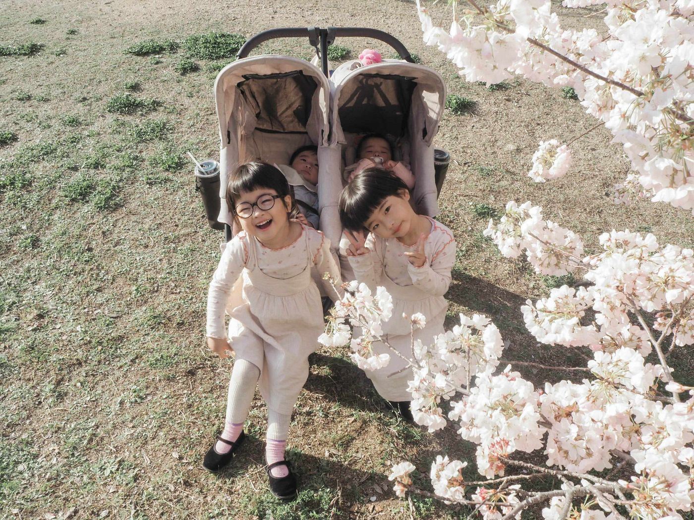 TikTokで話題のミニマム双子♡インフルエンサー Ami＆Miyu にQ＆ARay レイ