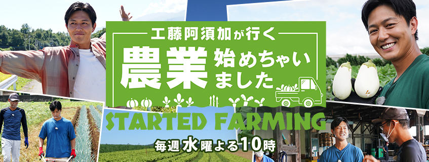 2025年9月上旬発送開始茨城県 オリジナル 幻の 高級梨 『 恵水 』 約 3kg 5玉 ～ 7玉茨城県共通返礼品 常陸太田市桧山果樹園農家直送 桧山果樹園 農家直送 フルーツ 甘い 直送 茨城 限定 ギフト 梨 恵水 けいすい 果物DU007sa マイナビふるさと納税
