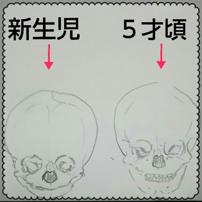 イケメンな赤ちゃんが来てくれました！八王子のフォトスタジオ、写真館アキヤマスタジオ - アキヤマスタジオ