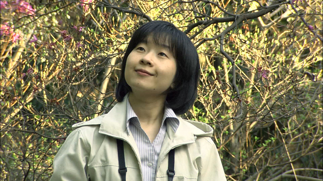 紀宮さま ご結婚 -null 日付指定なしの写真・画像 : 報道写真・ニュース映像の提供購入サービス：KYODO NEWSIMAGELINK イメージリンク