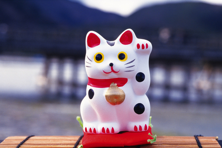 実用、桜井識子の電子書籍無料試し読みならBOOK☆WALKER