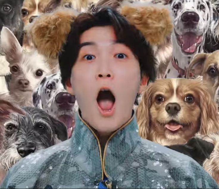 イッヌしょっぴーしょぴぐらむ