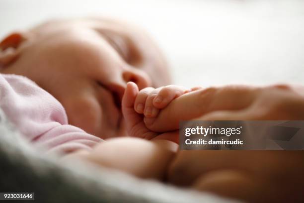 大人の指をそっと握る赤ちゃんの手 - 赤ちゃんのストックフォトや画像を多数ご用意 - 赤ちゃん, 保護, 安全 - iStock