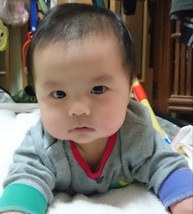 赤ちゃんの手足みたいな癒やしの観葉植物ガジュマルをモチーフにした「ガジュマルベビーむっちりクッション」が、フェリシモ「YOU+MORE!」から誕生FELISSIMOCOMPANYフェリシモ カンパニー