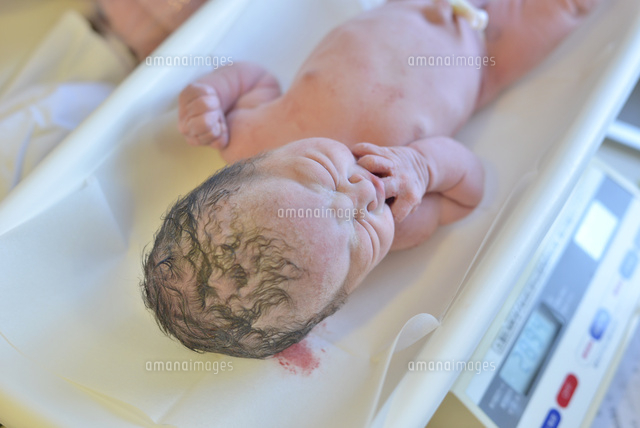 生まれたての赤ちゃんの写真・画像素材-Snapmart スナップマート