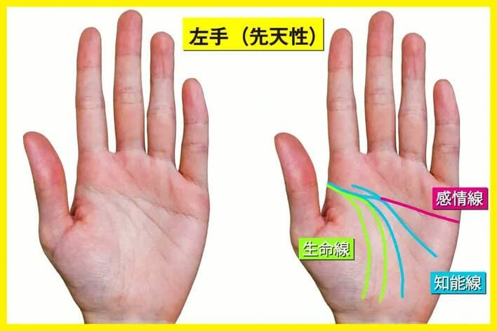 右手ファミリーリング手相TikTok