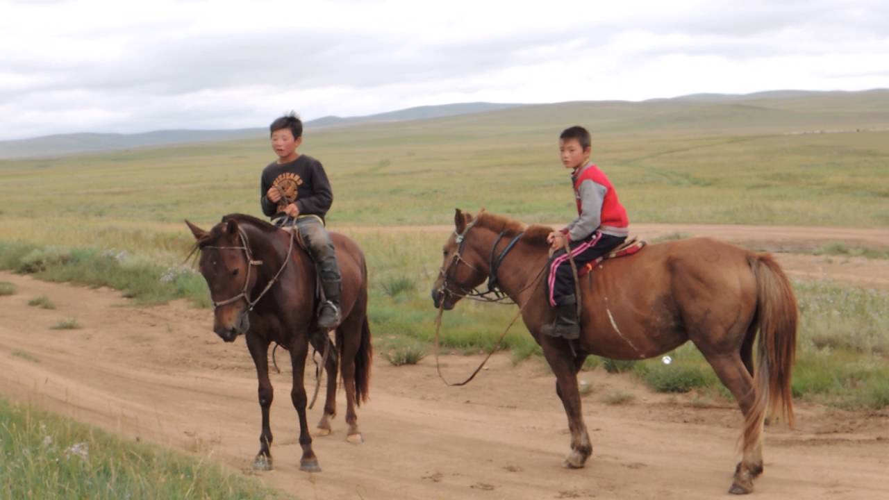 モンゴルの遊牧民に今一番喜ばれるお土産８選 - モンゴル旅行情報