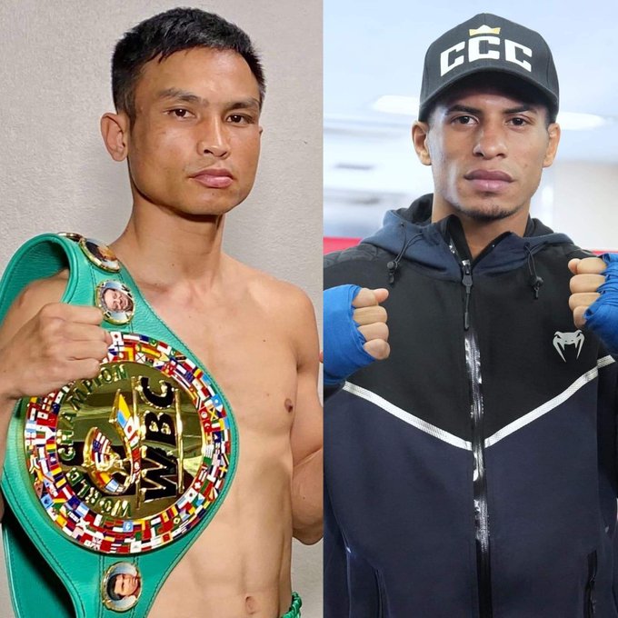 木村翔に勝った王者カニサレス 来週V3戦 フェルナンド・バルガス息子がプロデビュー – Boxing News ボクシングニュース