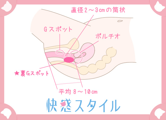 女性が感じる仕組みとは？オーガズムとスキーン腺の関係について解説 | コラム一覧｜  東京の婦人科形成・小陰唇縮小・婦人科形成（女性器形成）・包茎手術・膣ヒアルロン酸クリニック