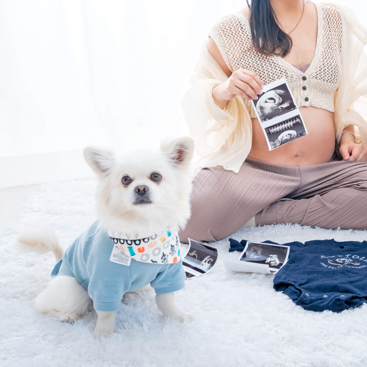 ペットとマタニティフォト スタジオリッツ 写真館ベルエクラALLBUM