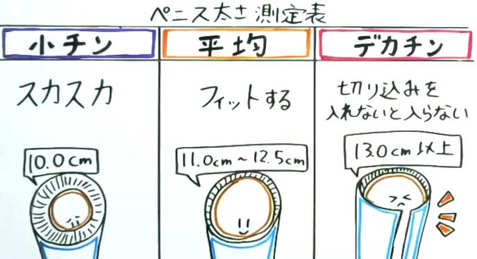 現役医師が解説】家にある身近なものでペニスサイズを簡単測定できる？ – メンズ形成外科 | 青山セレス&船橋中央クリニック