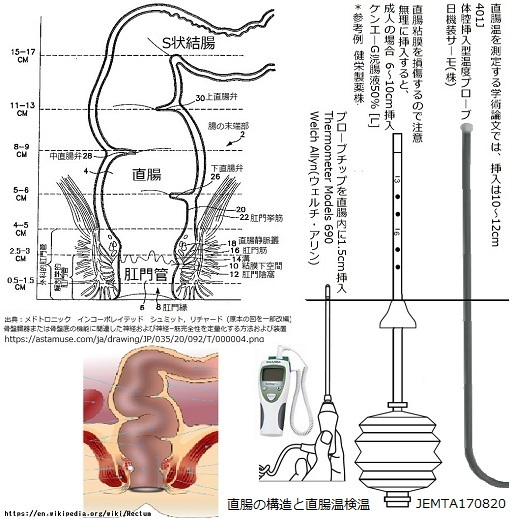 オオタグリセリン浣腸説明書、オマケ付き