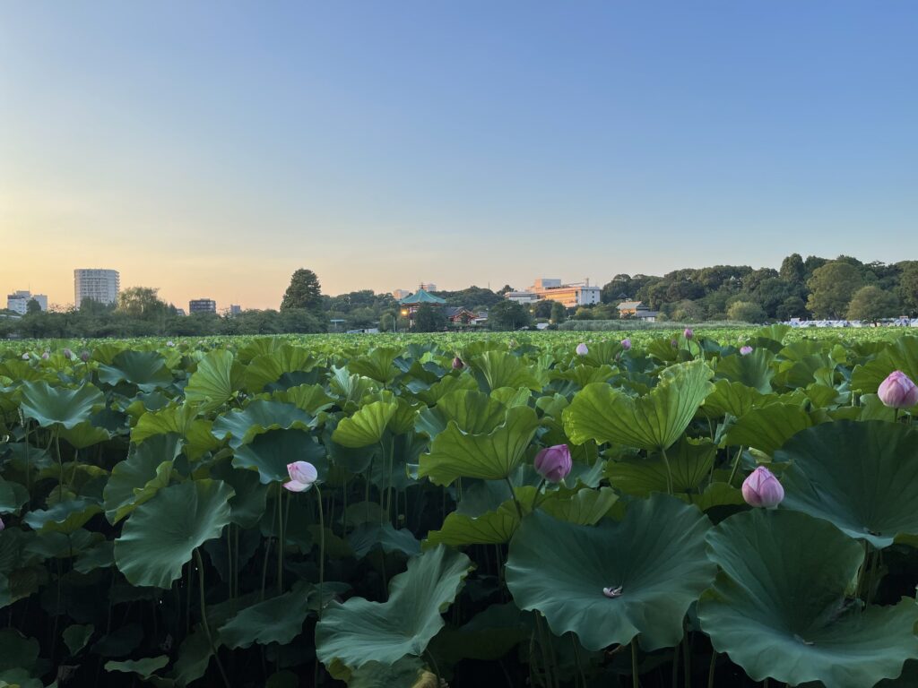 お金を借りる方法！銀行からの借入や消費者金融カードローンの即日融資などを解説ローンソムリエ
