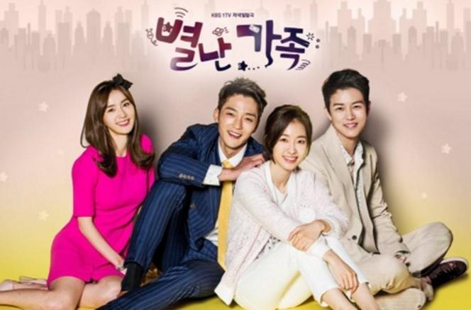 韓国ドラマ変わった家族 DVD