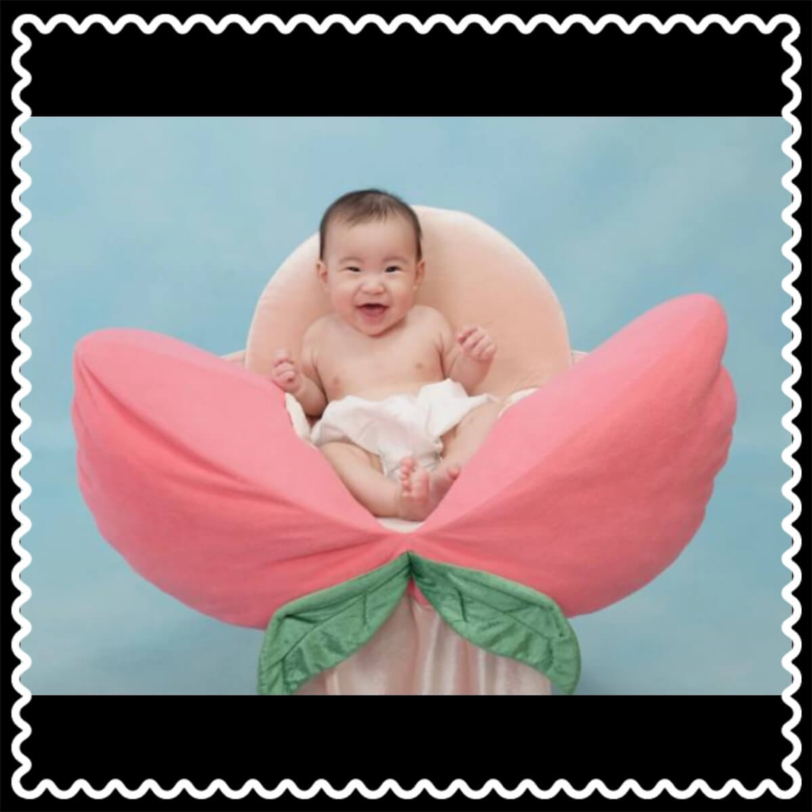 スタジオアリス フォトギャラリー 5歳・男の子 背景や構図の参考にどうぞ♪スタジオアリス大好きブログ