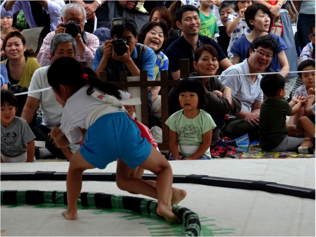 子ども向け相撲教室が再開 矢板 20年近い休眠状態経て 将来は市民大会復活も県内主要,スポーツ,地域の話題下野新聞デジタルニュース下野新聞デジタル