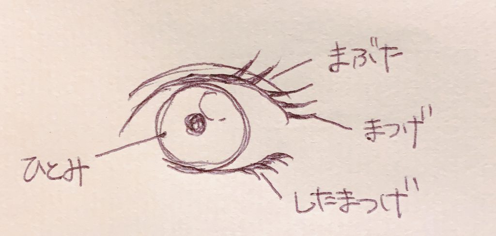 キラキラな目の描き方とポイントつるちゃんイラストレータ