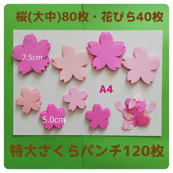 Amazon.co.jp: 製作キット 桜 さくら 春 3月4月5月 保育 高齢者 壁面飾り クラフト : ホーム＆キッチン