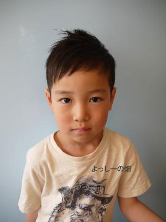 みじか〜いソフトモヒカン笠間市 理容室 hair salon Regiaレジーア のブログ