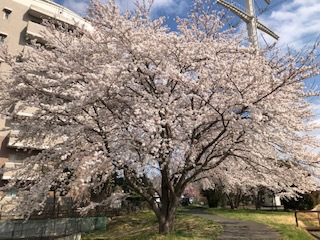 江藤拓と嫁・順子の結婚馴れ初め！子供は3人！離婚や不倫など噂話は