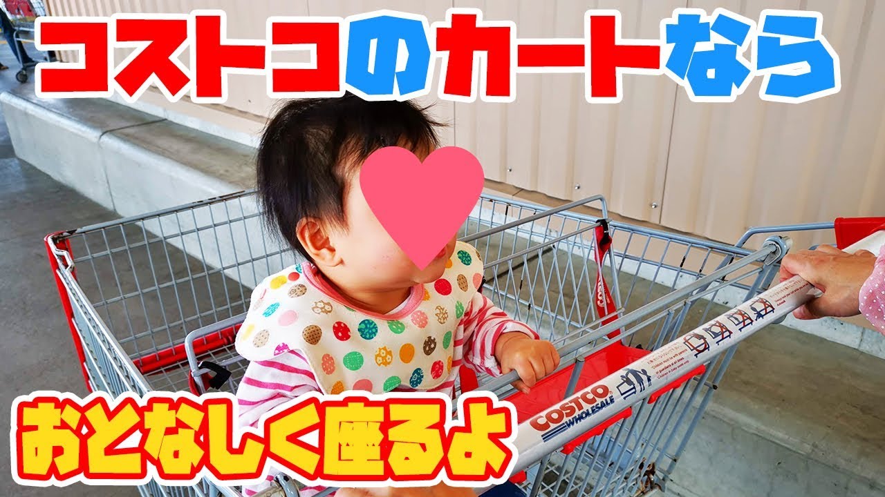 このカートって何歳まで乗れるんやろ🛒 小学生までかな〜って思ったら もう乗れない歳になって来てるの寂しいね ´・ω・｀コストコ コストコ購入品コストコ新商品costco