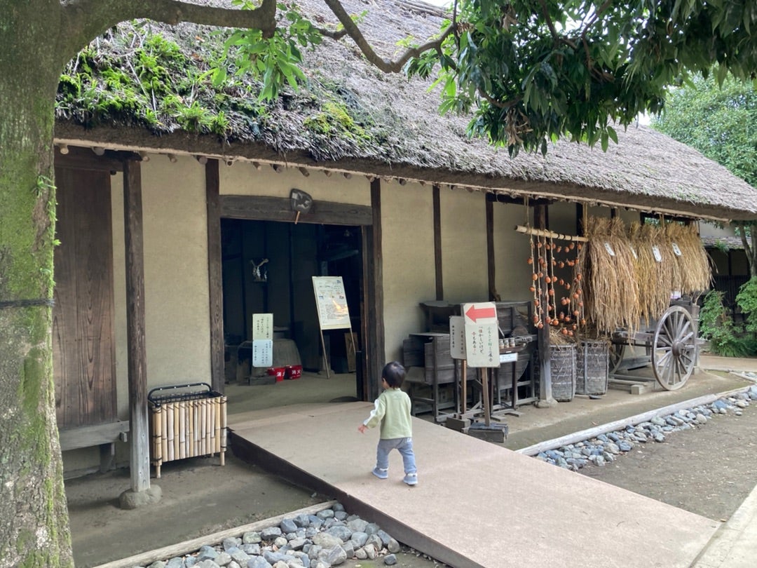 自分好みの空間づくりが叶う団地暮らし。古き良きものを活かしたインテリア実例Sheage シェアージュ