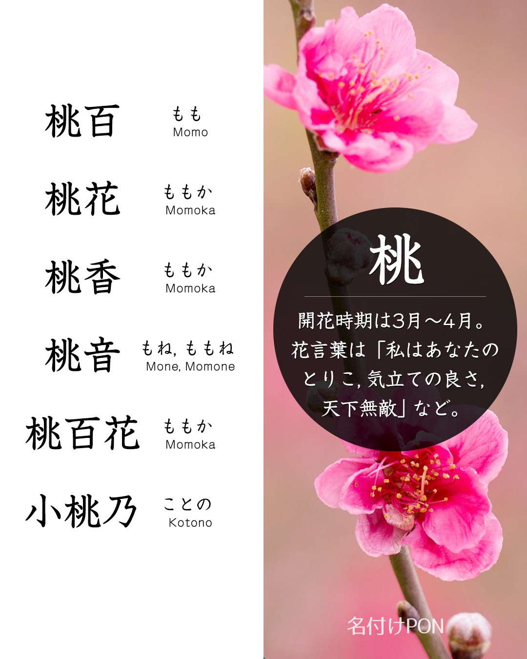 3月生まれの名前100選！星座や誕生石にちなんだ男の子・女の子の名前を紹介トモニテ