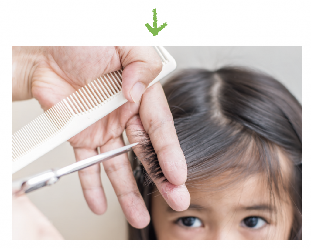 子供前髪カット マステTikTok