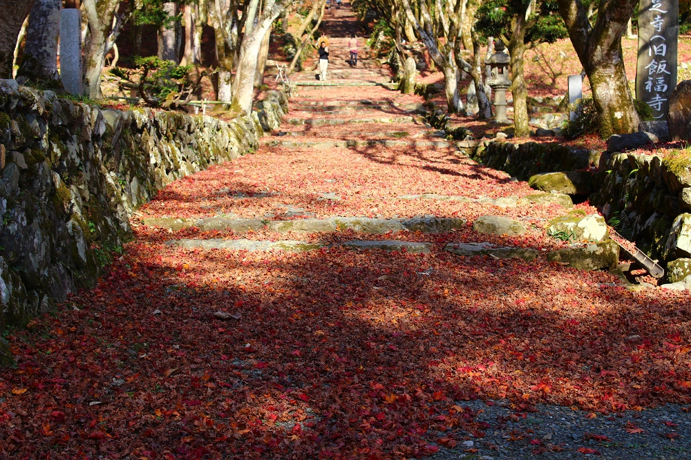 鶏足寺の御朱印御朱印帳データベース