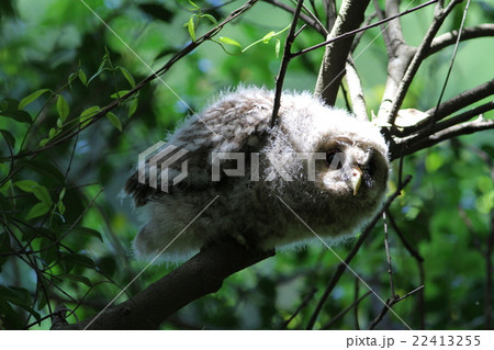 早田ひな、帰国会見で「特攻資料館行きたい」 7年前の番組で口にしていた「戦争がなくならない」現状への疑問: J-CAST ニュース 全文表示