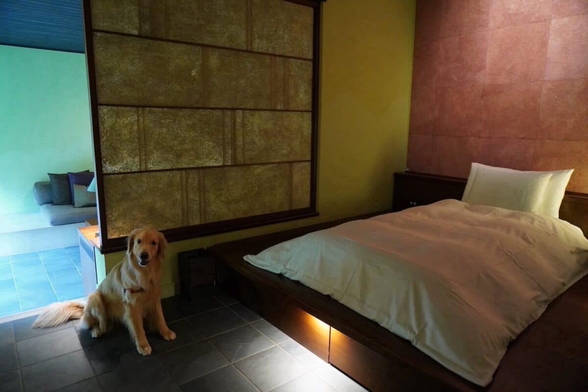 星のや軽井沢 犬と泊まれる「庭路地の部屋」もふもふウォーカ