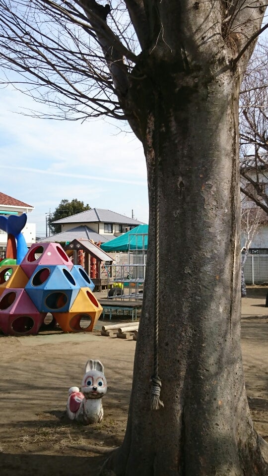 採用情報社会福祉法人松の実会 ふちな保育園 公式ホームページ