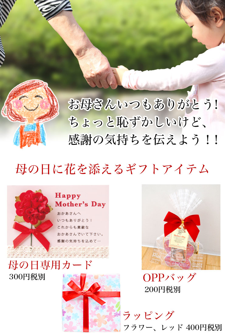 Amazon.co.jp: 孫からのおばあちゃんギフト メイクアップバッグ 母の日ギフト おばあちゃんへの誕生日プレゼント 史上最高のおばあちゃん新グラマギフト 女性への感謝ギフト ナナ 旅行 コスメポーチ クリスマスギフト, ピンク : ビューティ