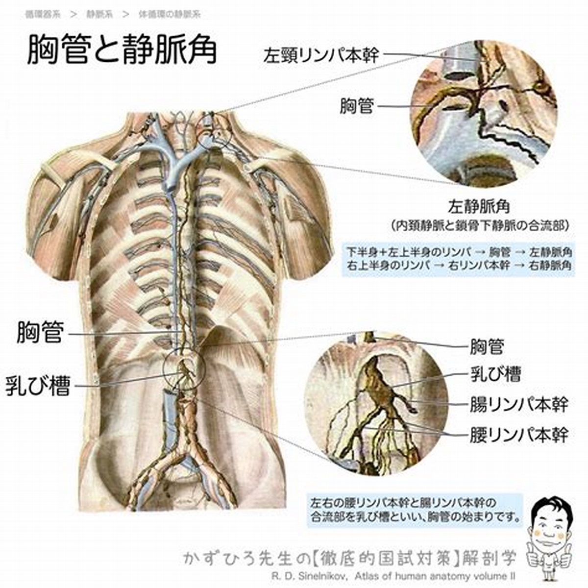 ぐりぐらって何？ くすぐりプレイの世界とは | Luna SMガイド