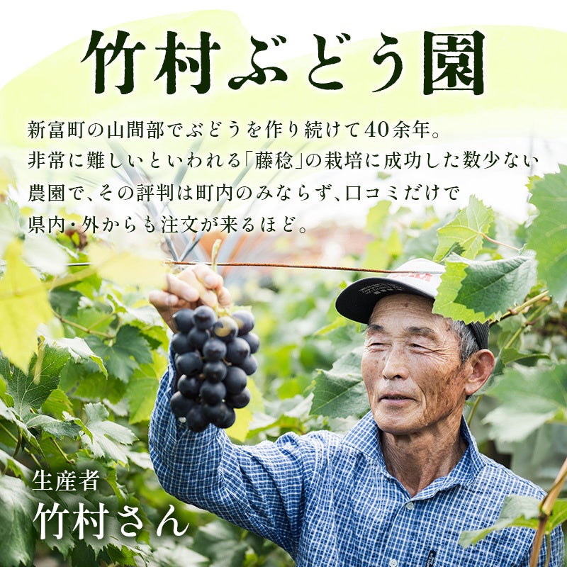 Amazon.co.jp: ぶどう苗木 藤稔 ふじみのり 苗木 5号 15cmポット 1鉢 11月～3月まで落葉しています 挿木苗 ブドウ 葡萄ベテラン生産者さんが心を込めて育てた 苗 おまかせ 園芸 ガーデニング 寄せ植え 鉢花 鉢植え 苗木 花苗 誕生日 記念日 プレゼント 贈り物