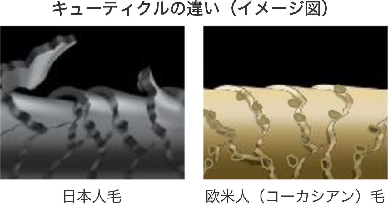 黒髪の白人女性の魅惑的な美しさ 写真JPG 無料ダウンロード - Pikbest