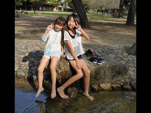 2025年最新 京都の「水遊びができる公園＆プール」7選